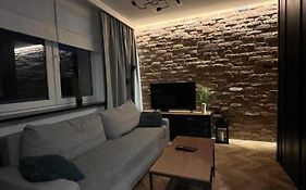 Luksusowy loft nad jeziorem Swarzędz - Poznań TV wi-fi pralko-suszarka piekarnik